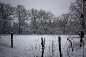Winter