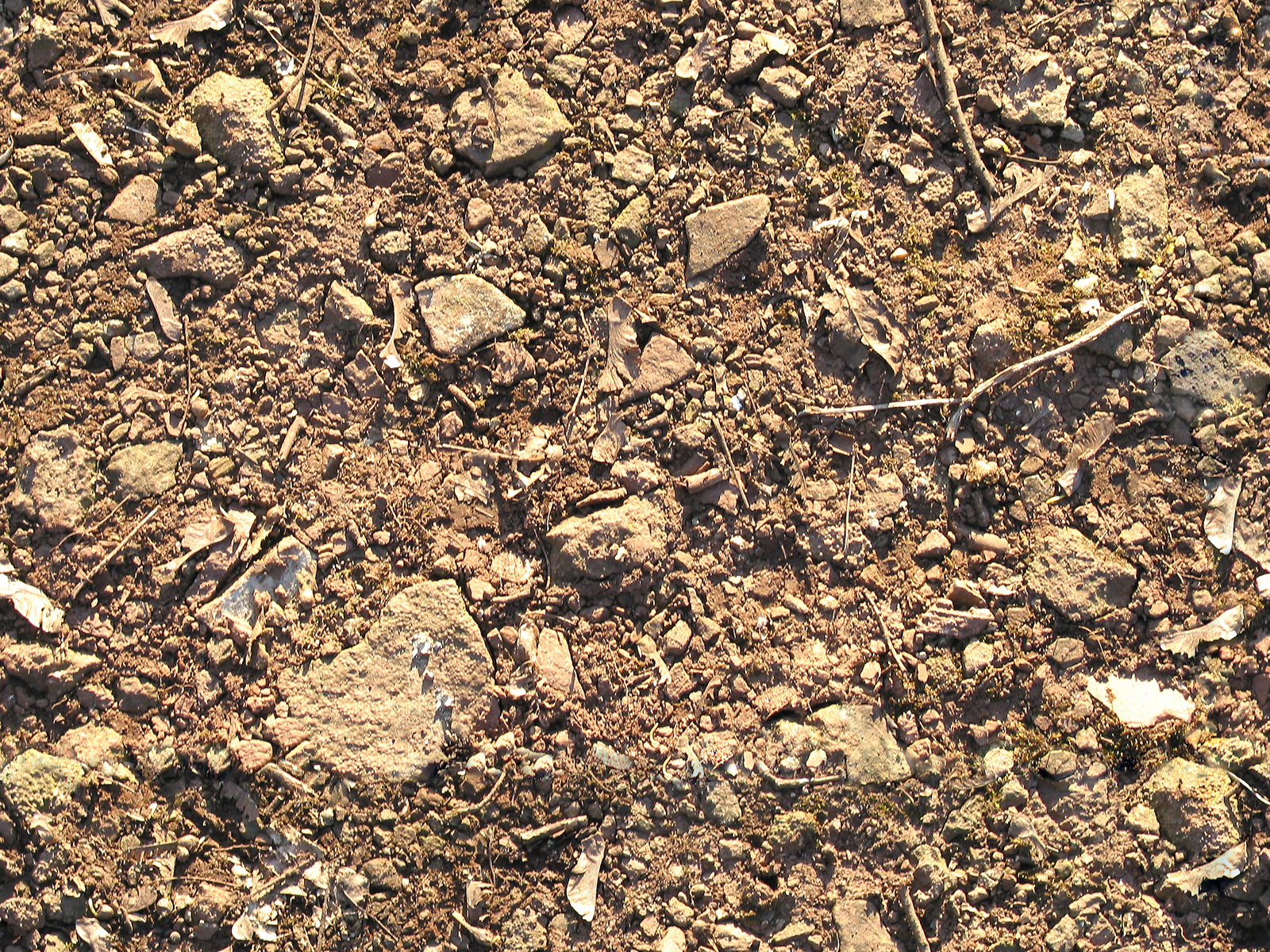 Clay and limestone Clay and limestone