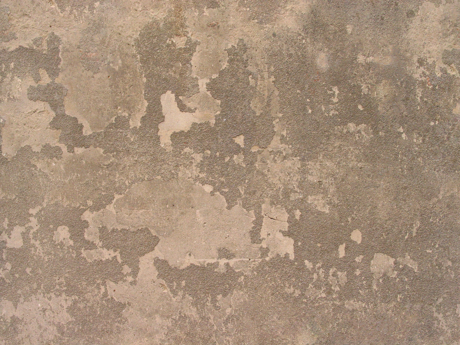 Concrete and plaster Concrete and plaster