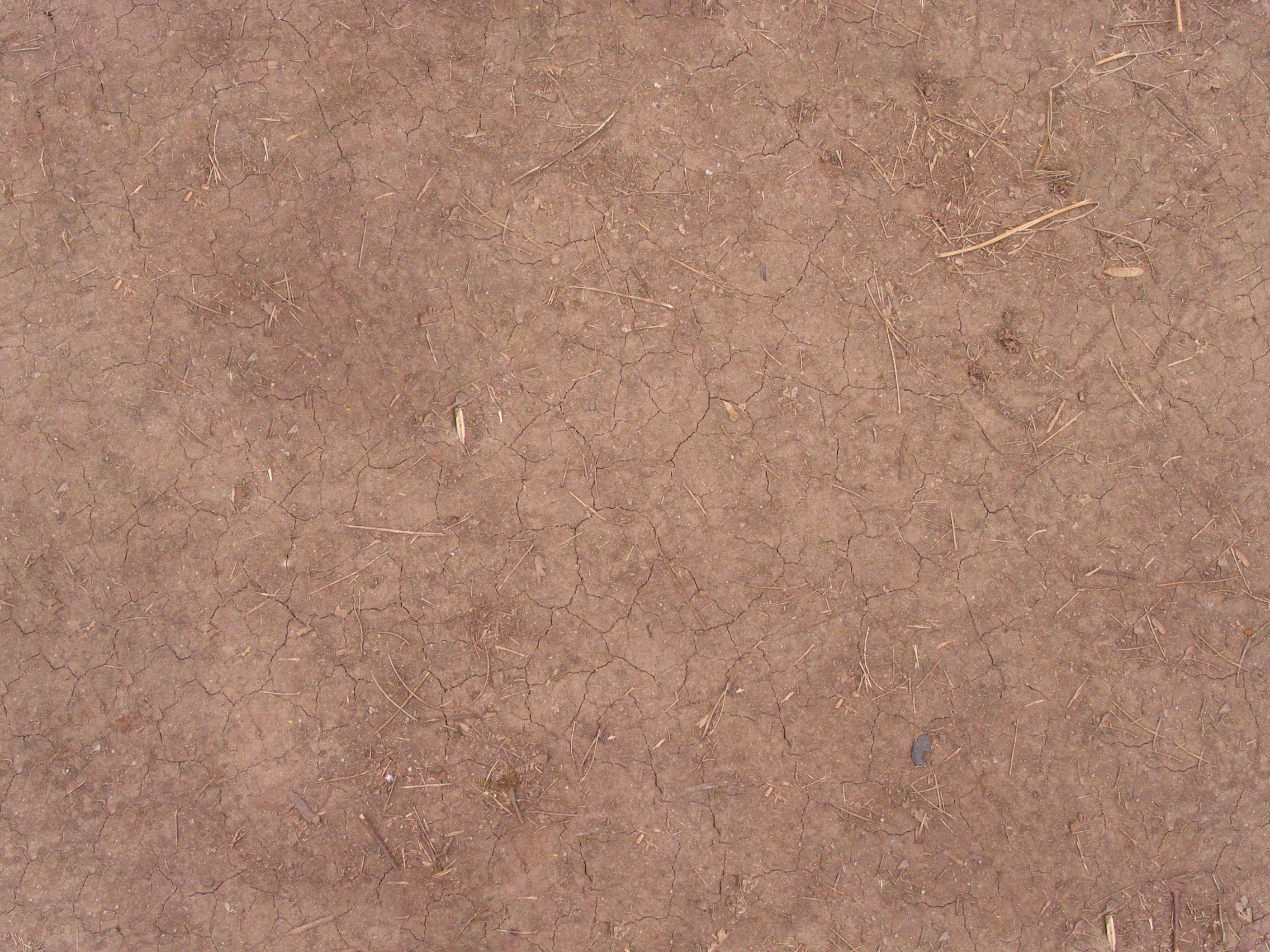 Cracked dirt Cracked dirt