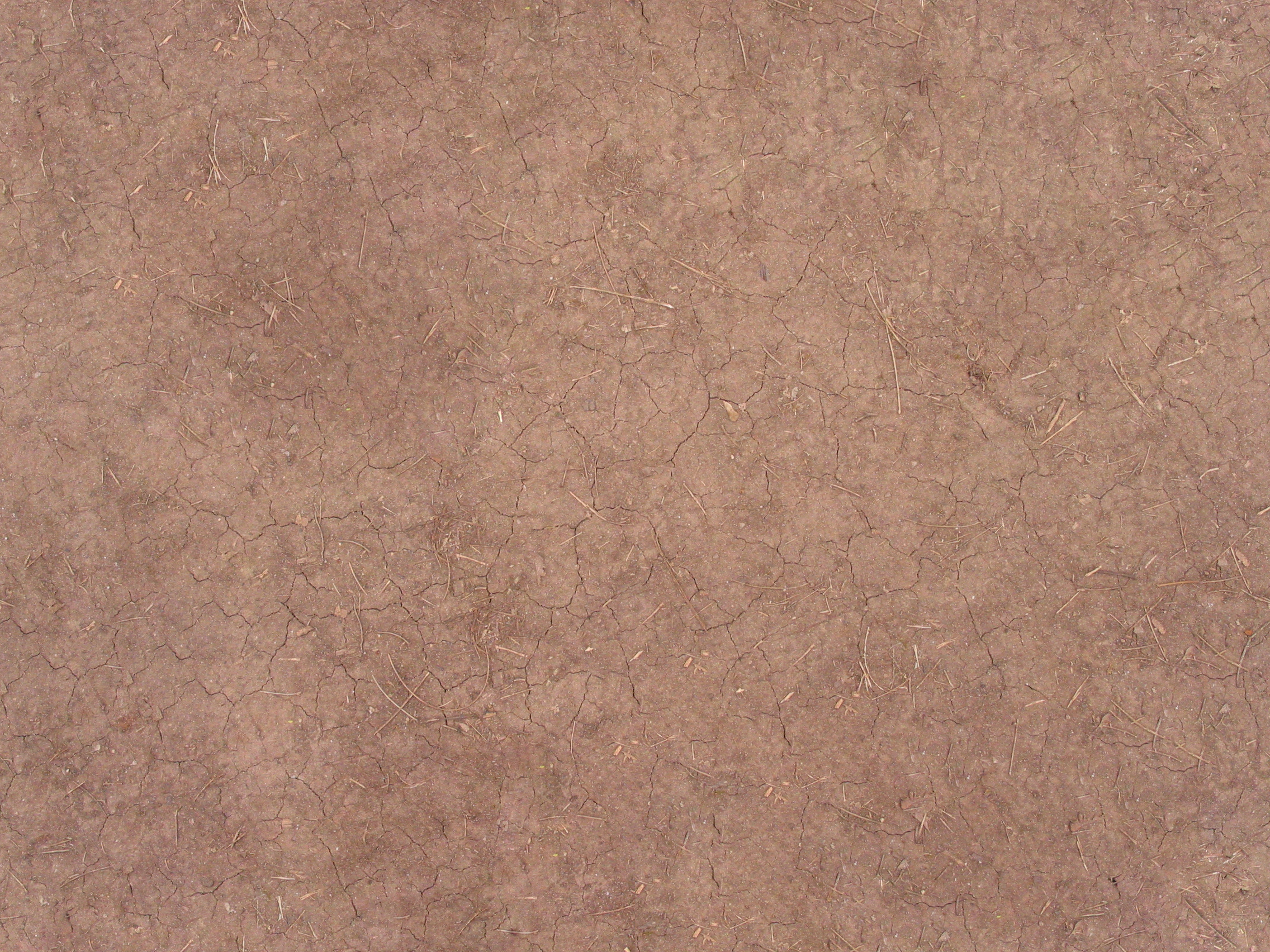 Cracked dirt Cracked dirt