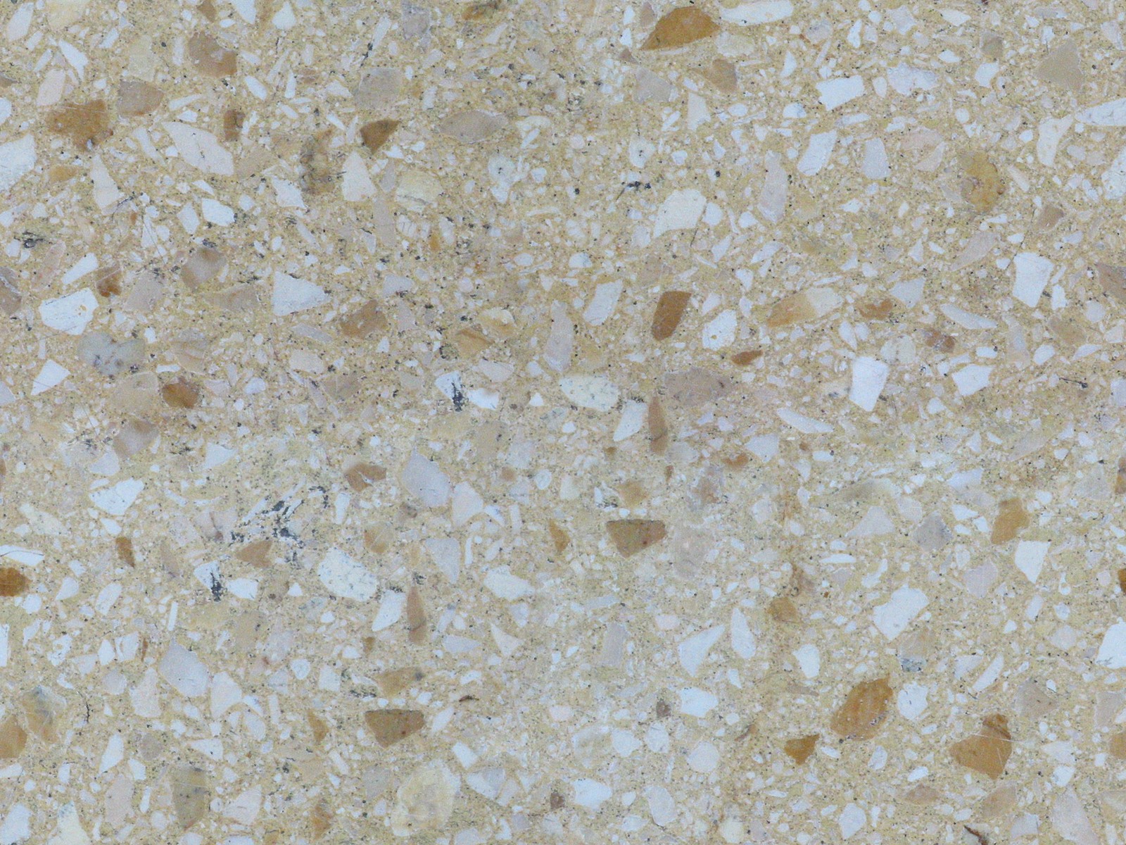 Terrazzo Color Terrazzo Color