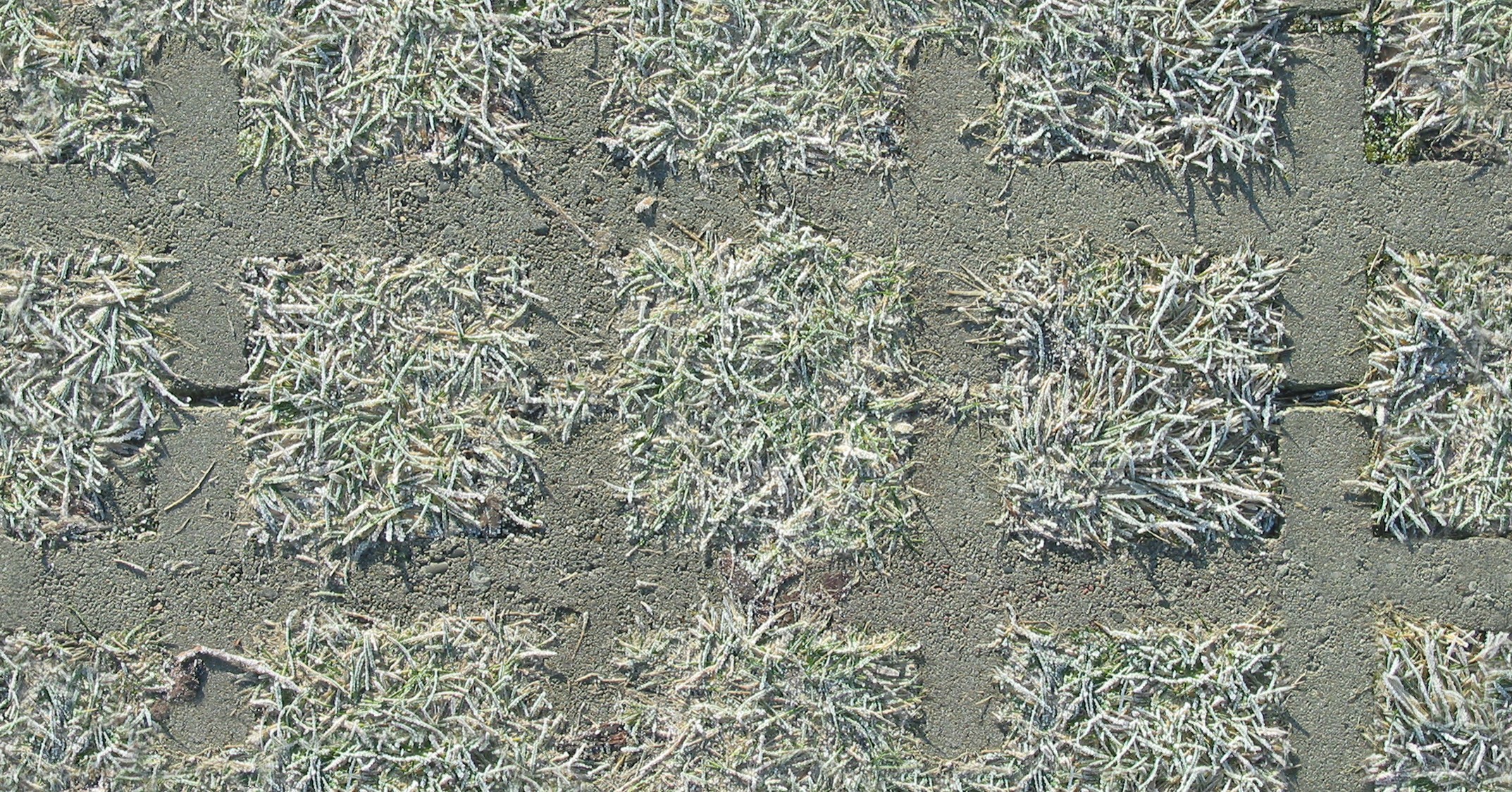 Frosted parking lot Frosted parking lot