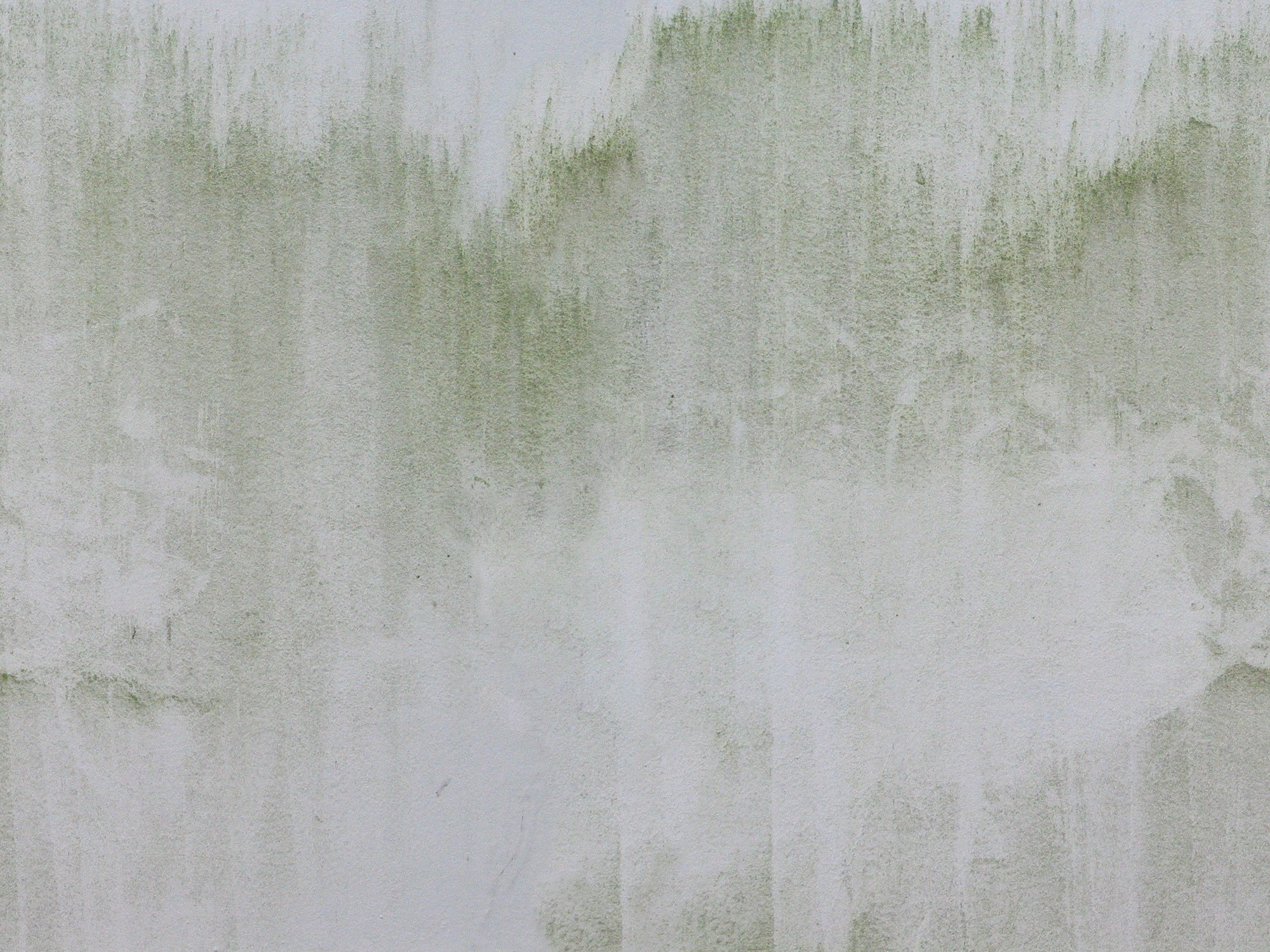 Moist wall Moist wall