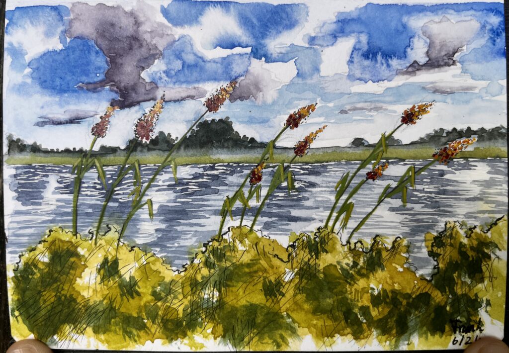 Summer at river Odra, painted with watercolours