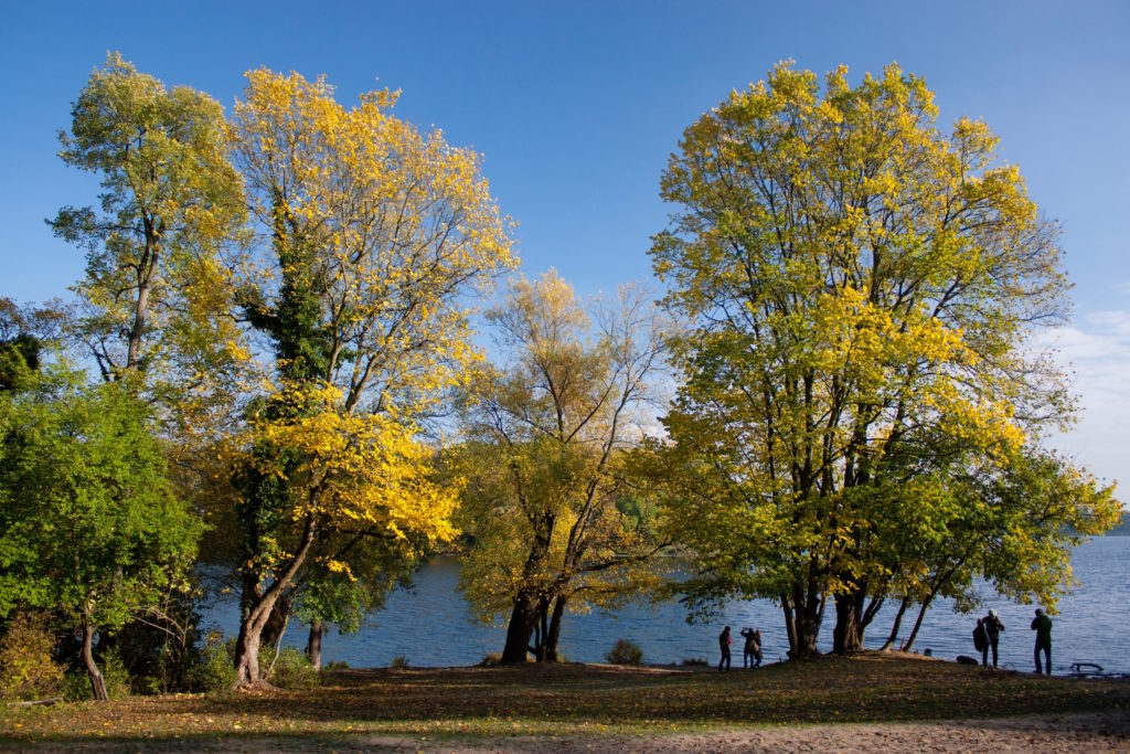 Autumn at the lake