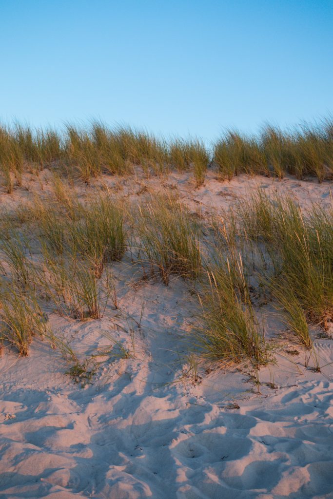 Baltic Sea dunes
