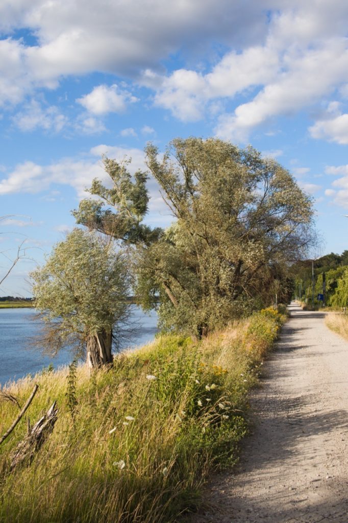 River Odra