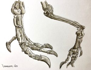T-Rex feet