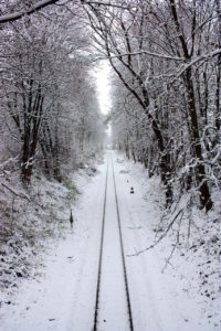 Winter