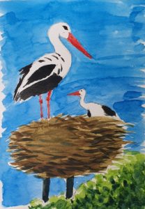 Storks