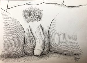 Adult drawing