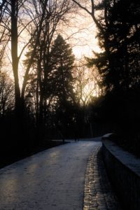 Spring sunset in Volkspark Friedrichshain
