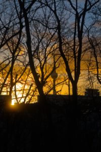 Berlin spring sunset in Volkspark Friedrichshain