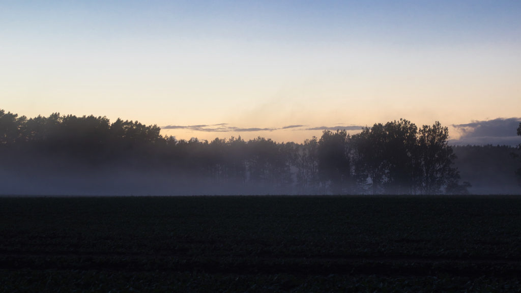 Field and trees in the mists, Rutenberg, Uckermark